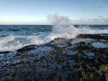 Ocean waves breaking on rocks of a beach in northeastern brazil