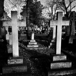 View of cemetery