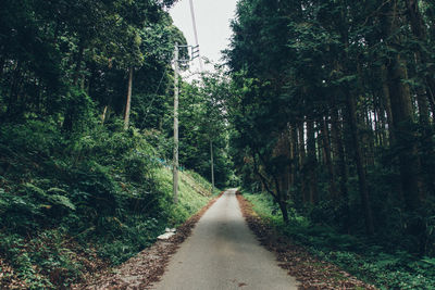 Road amidst trees against sky