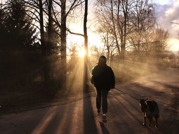 Rear view of man with dog walking in sunlight