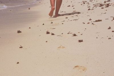 Low section of woman walking on shore at beach