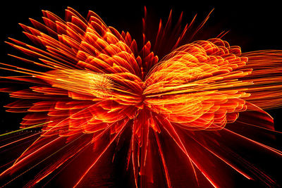 Close-up of fireworks against black background