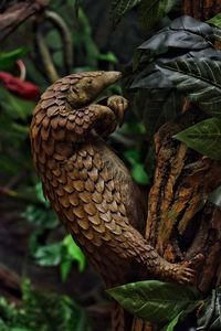 Close-up of lizard on tree