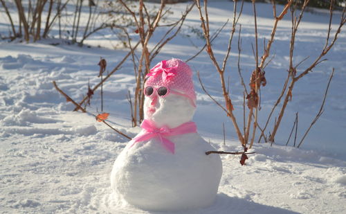 Snowman on field 