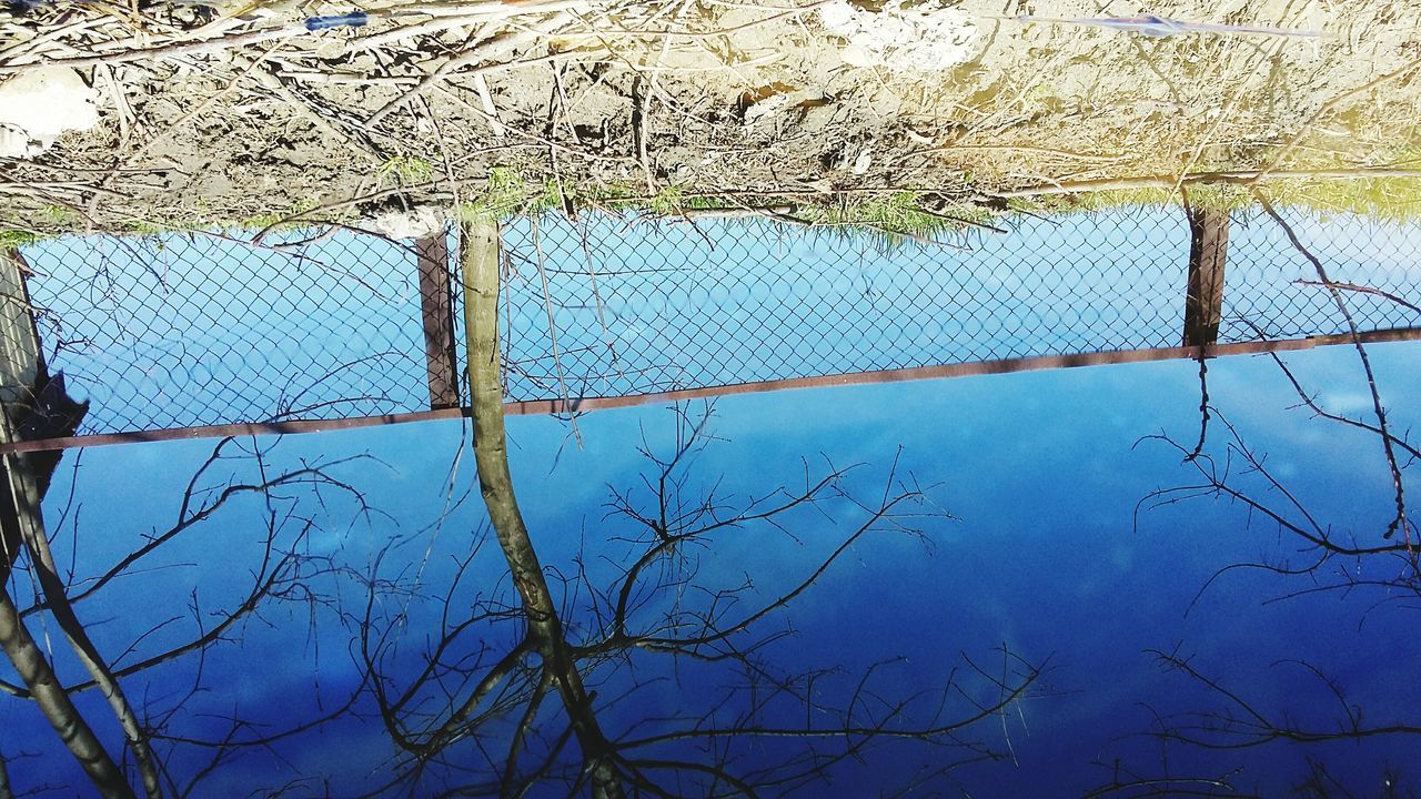 water, reflection, nature, no people, tree, day, sky, drop, close-up, outdoors, beauty in nature, frosted glass