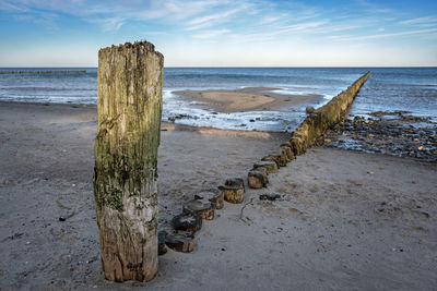 Scenic view of driftwood on beach against sky