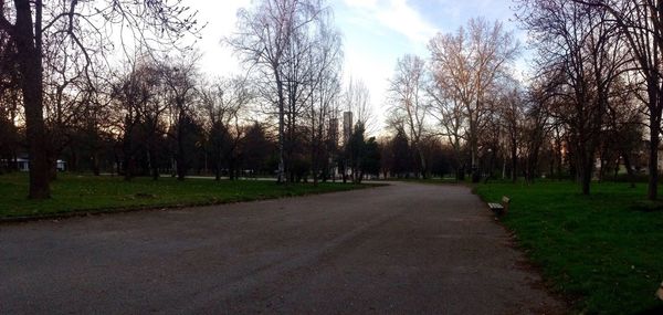 Empty road along trees