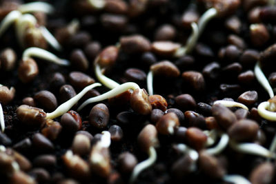 Full frame shot of coffee beans