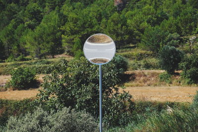 Built structure on field against trees in forest