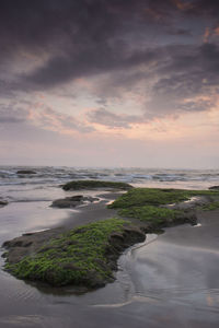 Scenic view of sea against sky during sunset