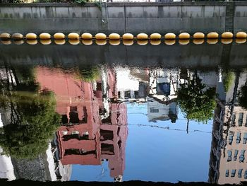 Reflection of trees and buildings in water