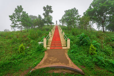 Footpath amidst trees in forest against sky