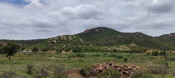 Scenic view of field against sky