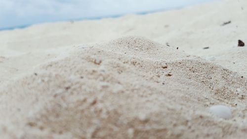 Close-up of sand on beach against sky