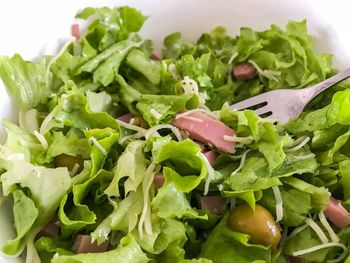 Close-up of chopped vegetables in plate