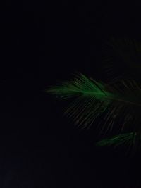 Low angle view of illuminated light against sky at night