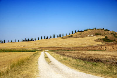 Panoramic view of road amidst field against clear blue sky