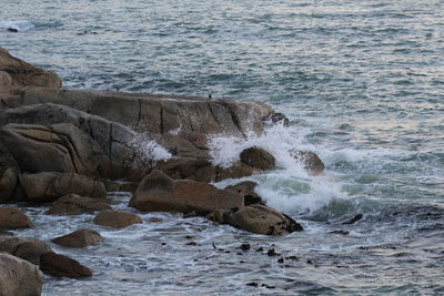 Waves splashing on rocks at shore