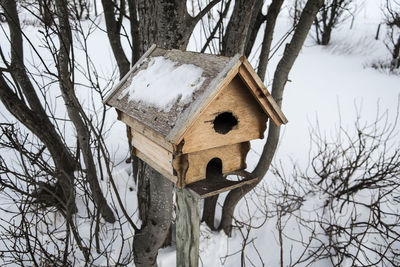 Low angle view of birdhouse hanging on tree in winter