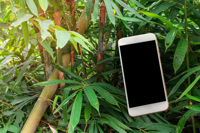 Close-up of mobile phone on plant