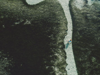 Woman wading in sea