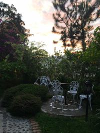 View of trees and plants against sky