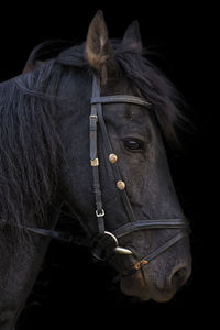 Close-up of person wearing mask against black background