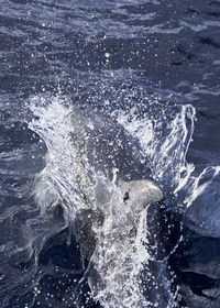 High angle view of water splashing in sea