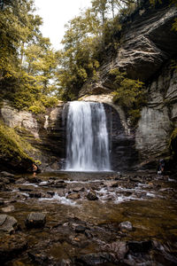 Scenic view of waterfall in forest