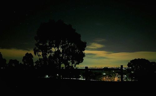 Silhouette trees against sky at night