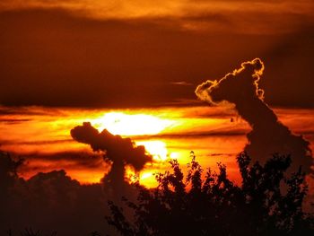 Silhouette tree against sea during sunset