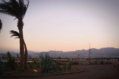 Trees and cityscape against sky during sunset