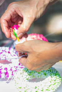 Close-up of hand holding pink flower