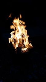 Close-up of bonfire at night