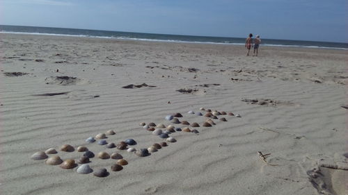 Rear view of friends walking at beach against sky during sunny day