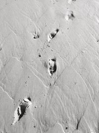 High angle view of footprints on sand at beach