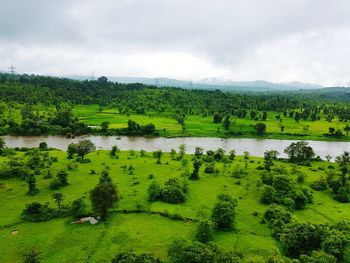 Scenic view of green landscape and river against sky