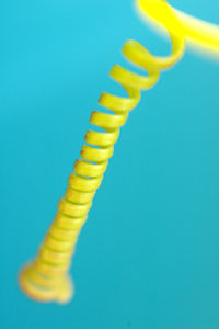 Close-up of tendrils against blue background