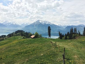 Scenic view of field against sky