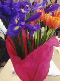 Close-up of purple tulips blooming outdoors