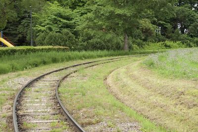 Railroad track amidst trees on field
