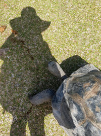 High angle view of shadow on field