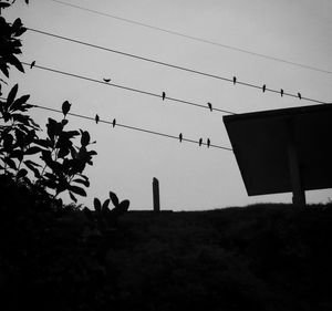 Low angle view of silhouette birds against sky