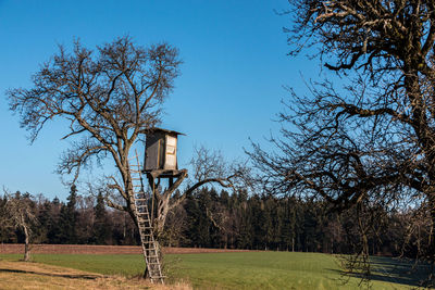 Trees on field against clear blue sky