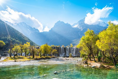 Scenic view of river amidst trees against sky