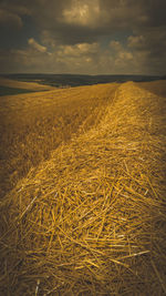 Scenic view of field against sky during sunset