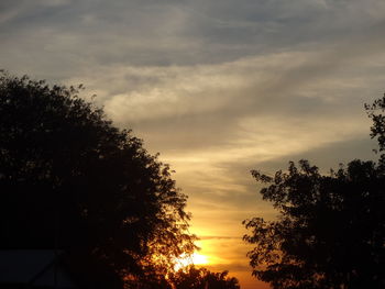 Low angle view of silhouette trees against sky at sunset