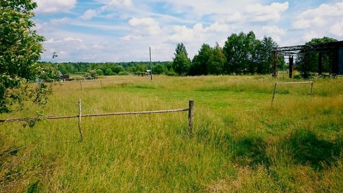 Scenic view of grassy field against sky