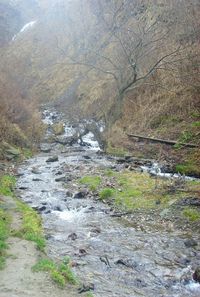 River flowing through rocks