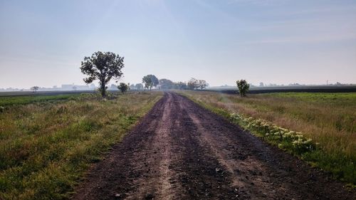 Road passing through field